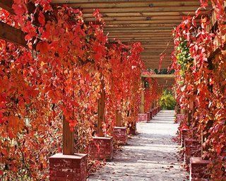 Beijing Jinyu Badaling Hot Spring Resort Xiaohetun Exterior foto